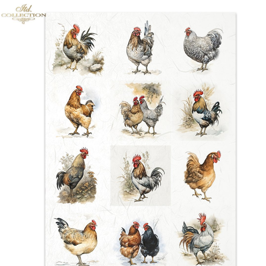 Set of twelve illustrations of chickens and roosters on a white background.