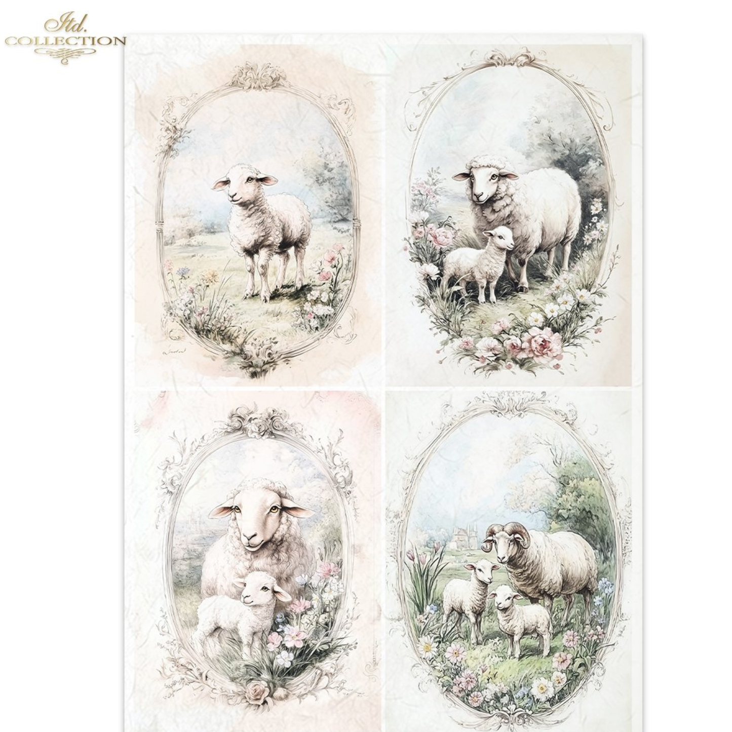 Four oval illustrations of sheep and lambs in a pastoral setting with flowers and greenery.