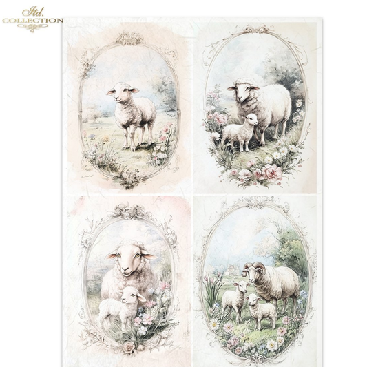 Four oval illustrations of sheep and lambs in a pastoral setting with flowers and greenery.