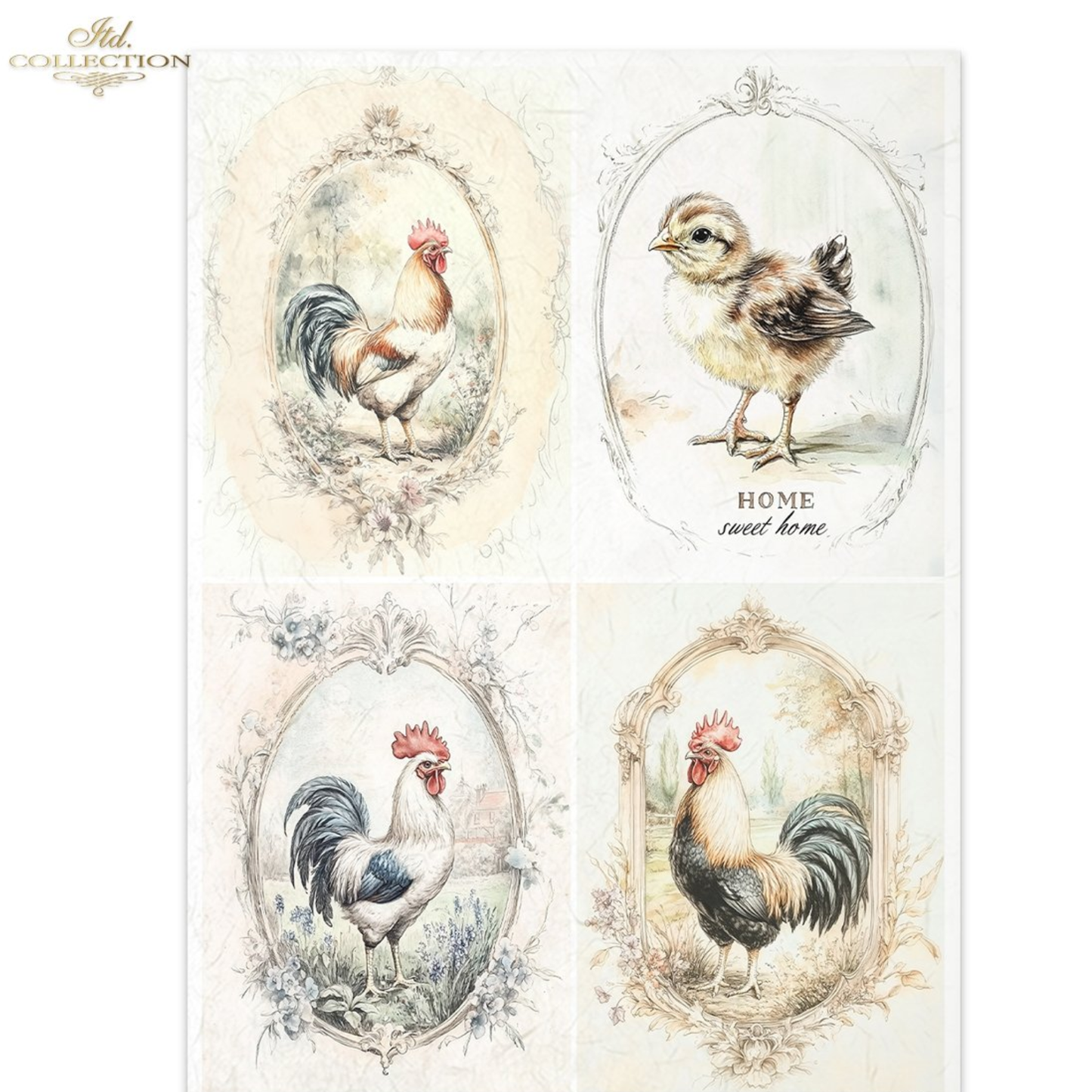 Set of four illustrations of roosters and a chick in frames.