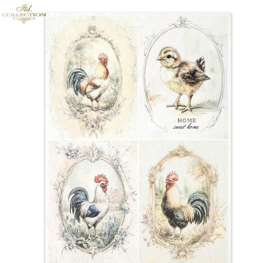 Set of four illustrations of roosters and a chick in frames.