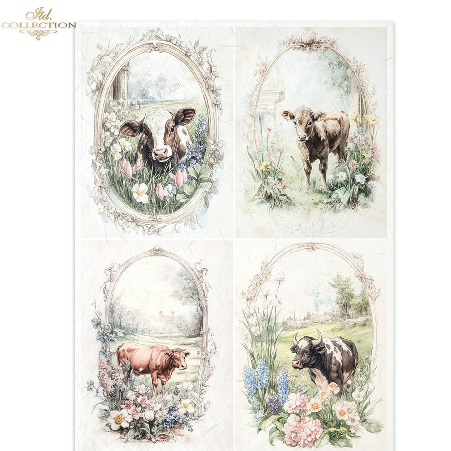 Four decorative illustrations of cows and flowers in a vintage frame design.