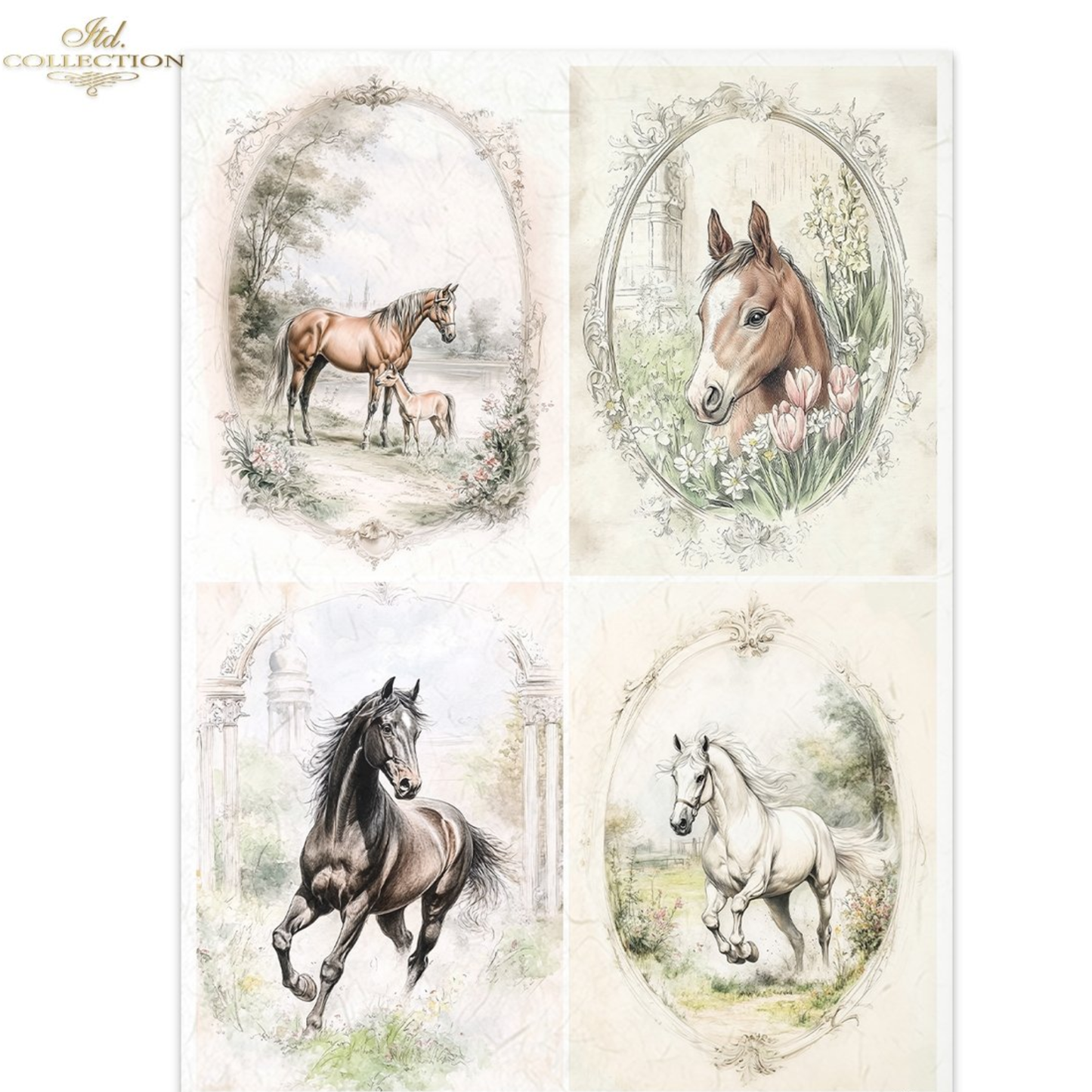 Four illustrations of horses in various poses with frames on a white background.