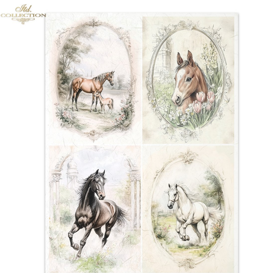Four illustrations of horses in various poses with frames on a white background.