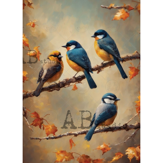 Four colorful birds perched on a branch with autumn leaves in the background