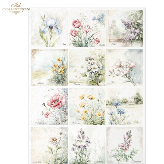 Collection of 9 square floral illustrations with printed text identifying the name of each flower on a white background.