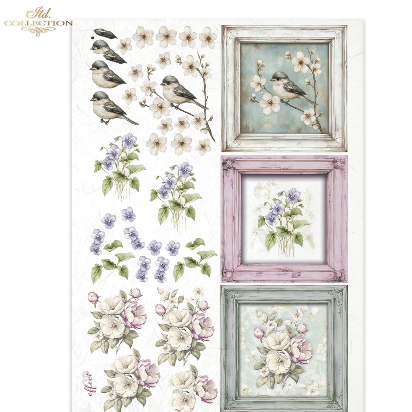 Collection of 6 images with frames, floral and bird designs on a white background 