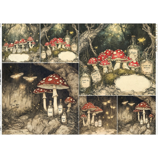 Collage of illustrations featuring mushrooms and bottles in a forest setting.