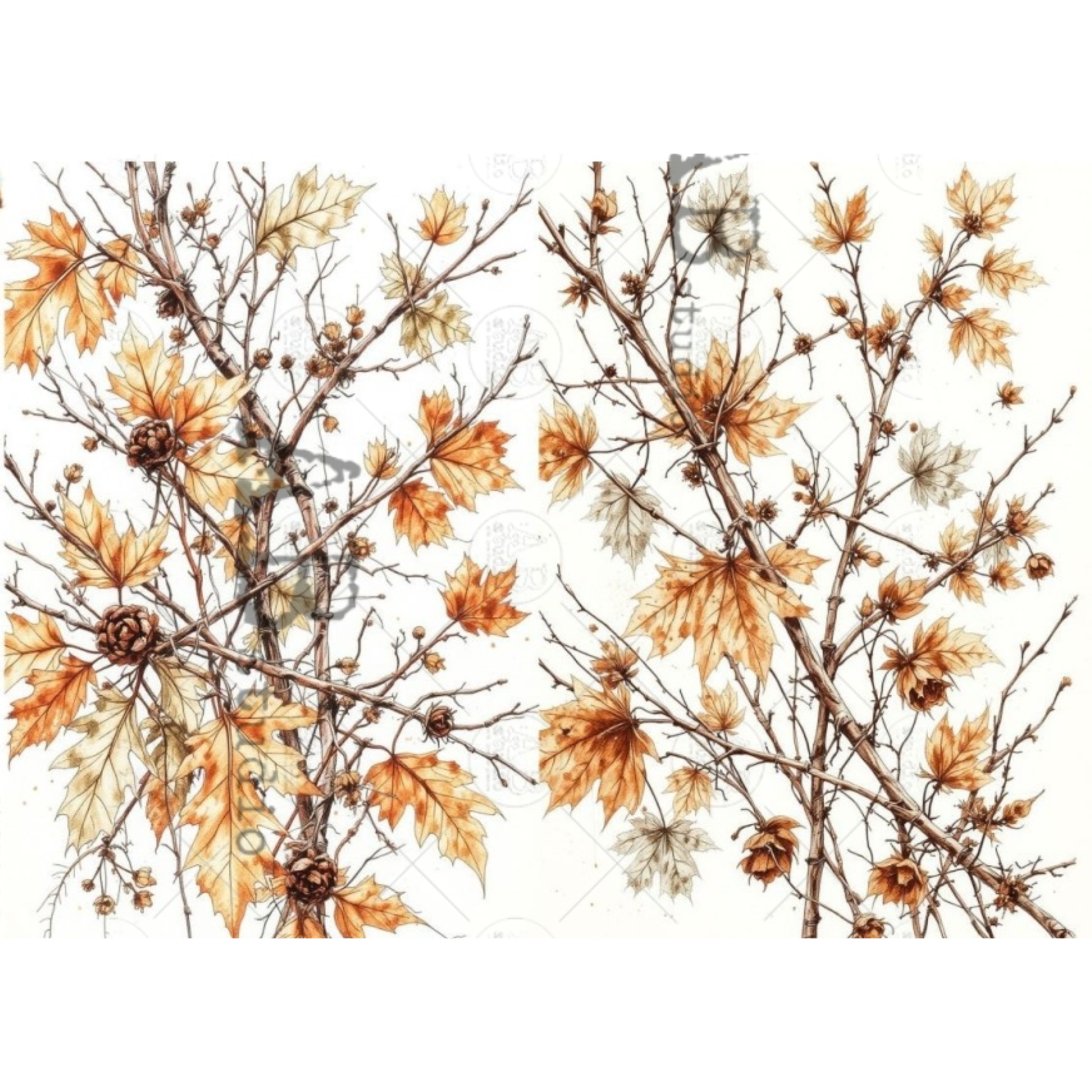 A botanical pattern of autumn maple leaves in shades of orange, brown, and beige, set against a white background.