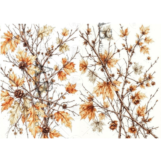 A botanical pattern of autumn maple leaves in shades of orange, brown, and beige, set against a white background.