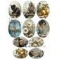 Collection of oval-shaped vintage-style images featuring cats, flowers, lemons, and a woman with a bird.