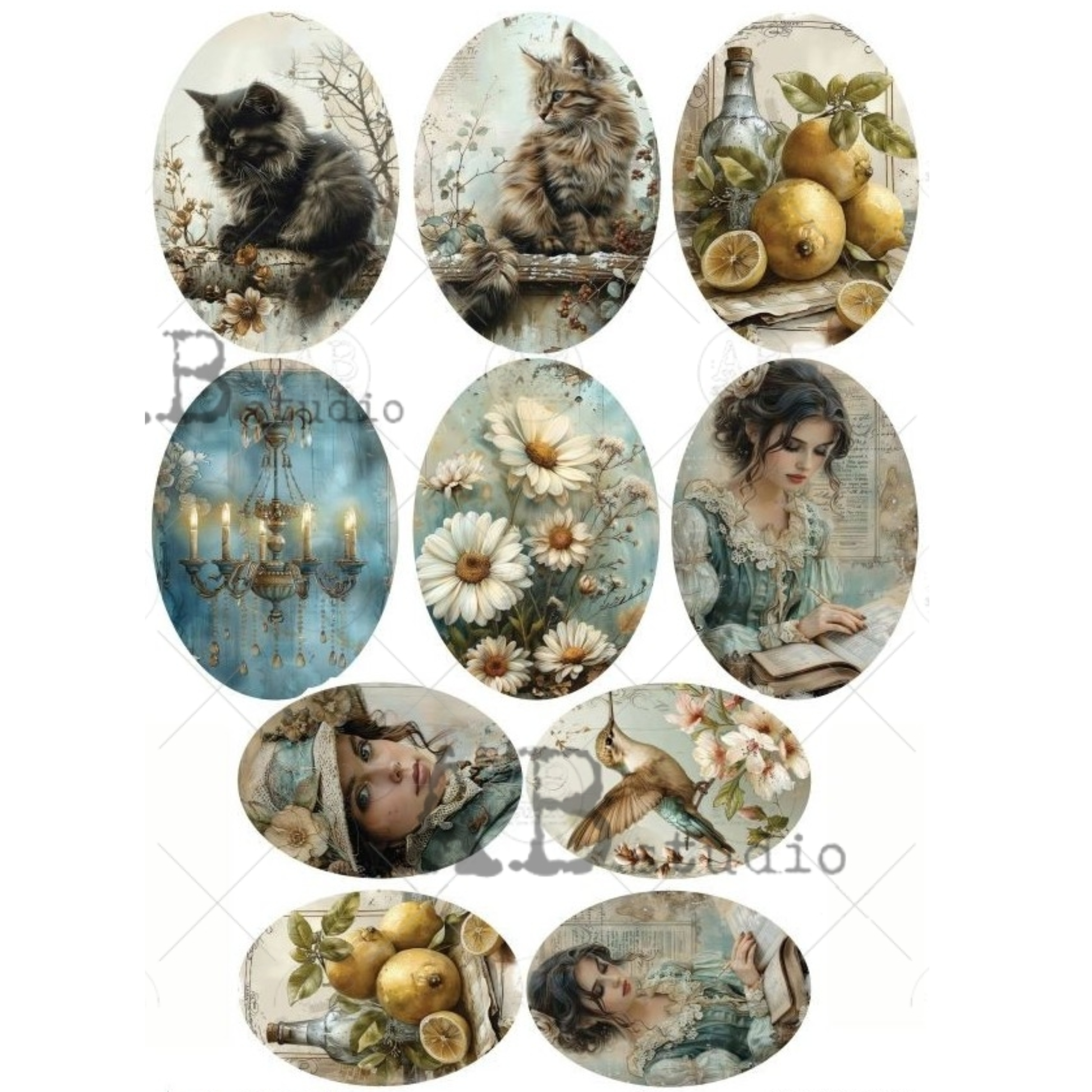 Collection of oval-shaped vintage-style images featuring cats, flowers, lemons, and a woman with a bird.