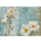 Floral design with daisies on a textured background.