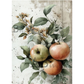 Illustration of apples and leaves on a textured background.