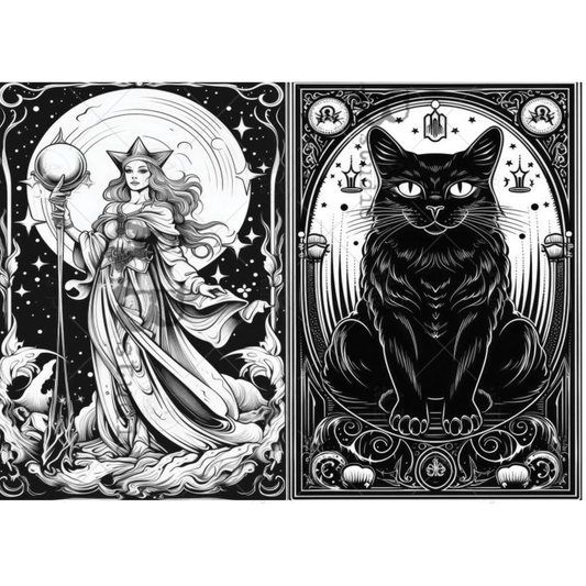 Two black and white gothic illustrations side by side: a celestial woman holding a staff in front of a moon, and a large black cat seated within an ornate decorative frame.