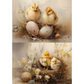 Two images of two baby chicks with eggs and flowers in a nest on a textured background.