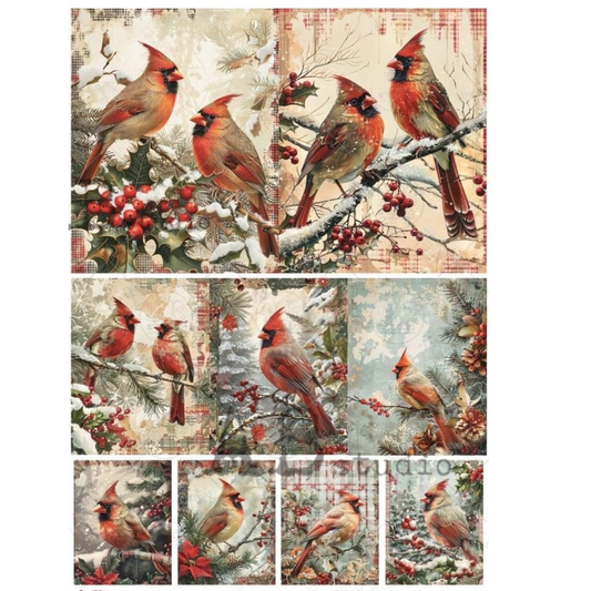 Set of 9 images of cardinals on a branch with berries and snow.