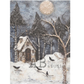 Winter night scene with a small house, trees, and a full moon, bats & birds.