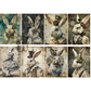 Set of eight images featuring rabbits in various outfits with a vintage and steampunk theme.