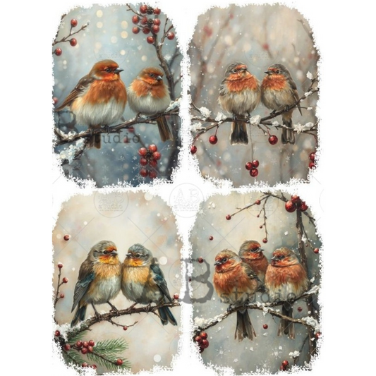 Set of four winter-themed images with birds and berries on branches.