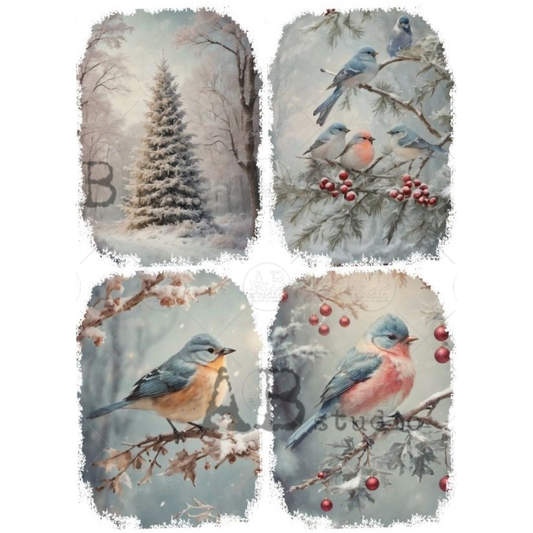 Set of four winter-themed images with birds and nature elements.