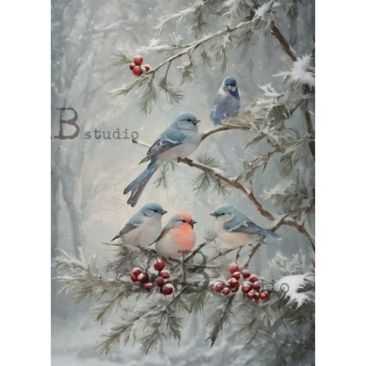 Image of birds on a branch with berries and snow.