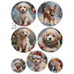 Pups & Kitties Ornament Rounds