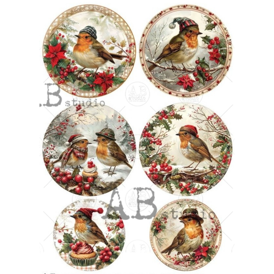 Set of six circular decorative ornament rounds featuring robins wearing winter hats.