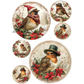 Set of Christmas-themed ornament rounds with birds wearing hats and surrounded by holly and berries.