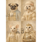 Collage of dogs, an owl an a mouse  in formal attire.