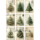 Nine unique tag images of various evergreen and pine trees over cursive background.