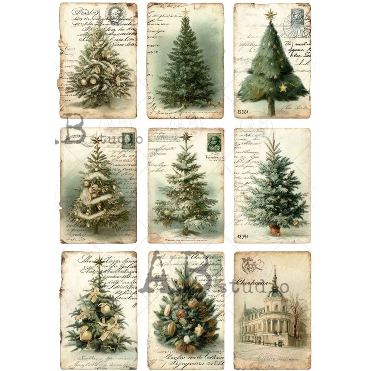 Nine unique tag images of various evergreen and pine trees over cursive background.
