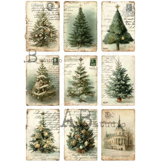 Nine unique tag images of various evergreen and pine trees over cursive background.