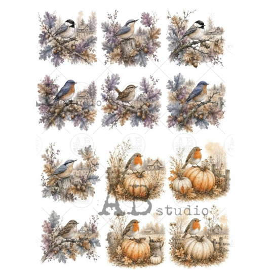 Watercolor-style autumn bird and pumpkin illustrations - twelve images.