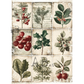 Nine illustrated tag designs of winter botanicals.