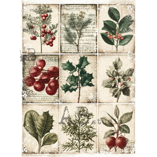 Nine illustrated tag designs of winter botanicals.