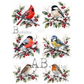 Six watercolor bird illustrations on a white background, each bird perched on a snowy branch with red berries and holly leaves. 