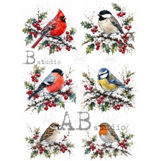 Six watercolor bird illustrations on a white background, each bird perched on a snowy branch with red berries and holly leaves. 