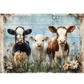 Three cows standing together with a rustic wooden background and flowers.