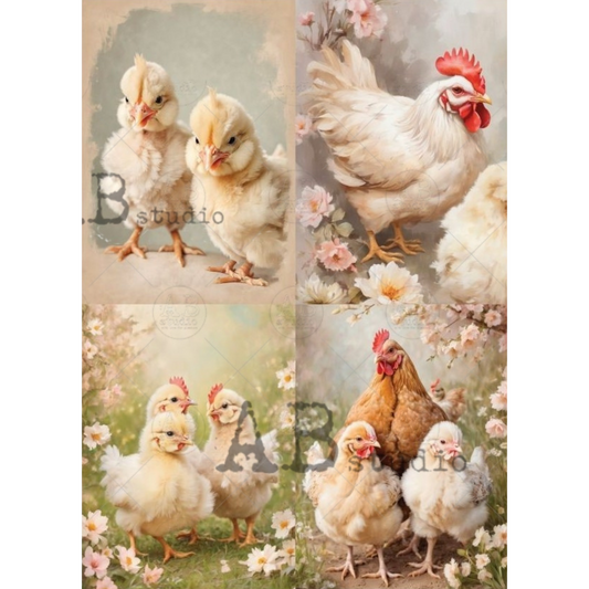 Four image collage of chicks and hens with floral elements.