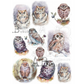 "9 Pack Watercolor Owls" decoupage rice paper by AB Studio. Size A4 available at Milton's Daughter.