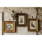 Three framed vintage-style prints hang on a distressed plaster wall. The left frame shows a floral wreath, the center frame shows a Christmas tree, and the right frame shows a dog portrait.
