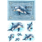 Vintage-style illustrations of dolphins on a light blue background.