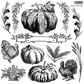 "Autumn Blessings" IOD Stamp by Iron Orchid Designs. Single sheet stamp. Available at Milton's Daughter. Vintage-style illustrations of pumpkins, turkeys, and autumn elements.