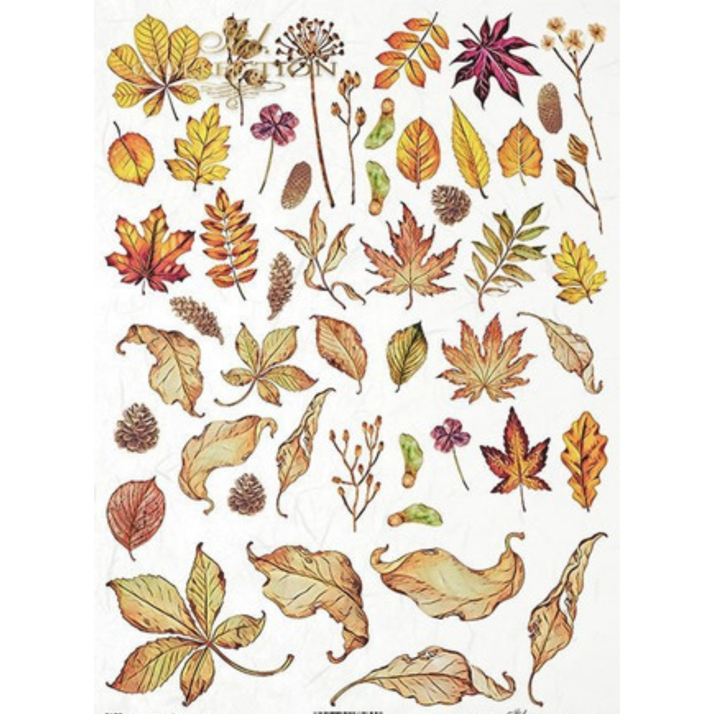 "Autumn Leaves" decoupage rice paper by ITD Collection. Available at Milton's Daughter.