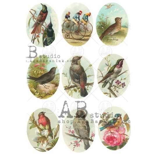 "Bird Cameos" decoupage rice paper by AB Studios. Size A4 available at Milton's Daughter.