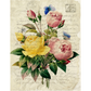 "Botanical 126" decoupage paper by Monahan Papers. 11" x 17" available at Milton's Daughter.