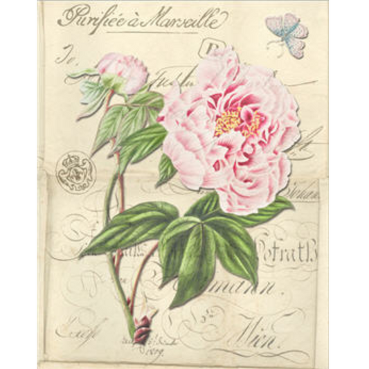 "Botanical 127" decoupage paper by Monahan Papers. 11" x 17" available at Milton's Daughter.