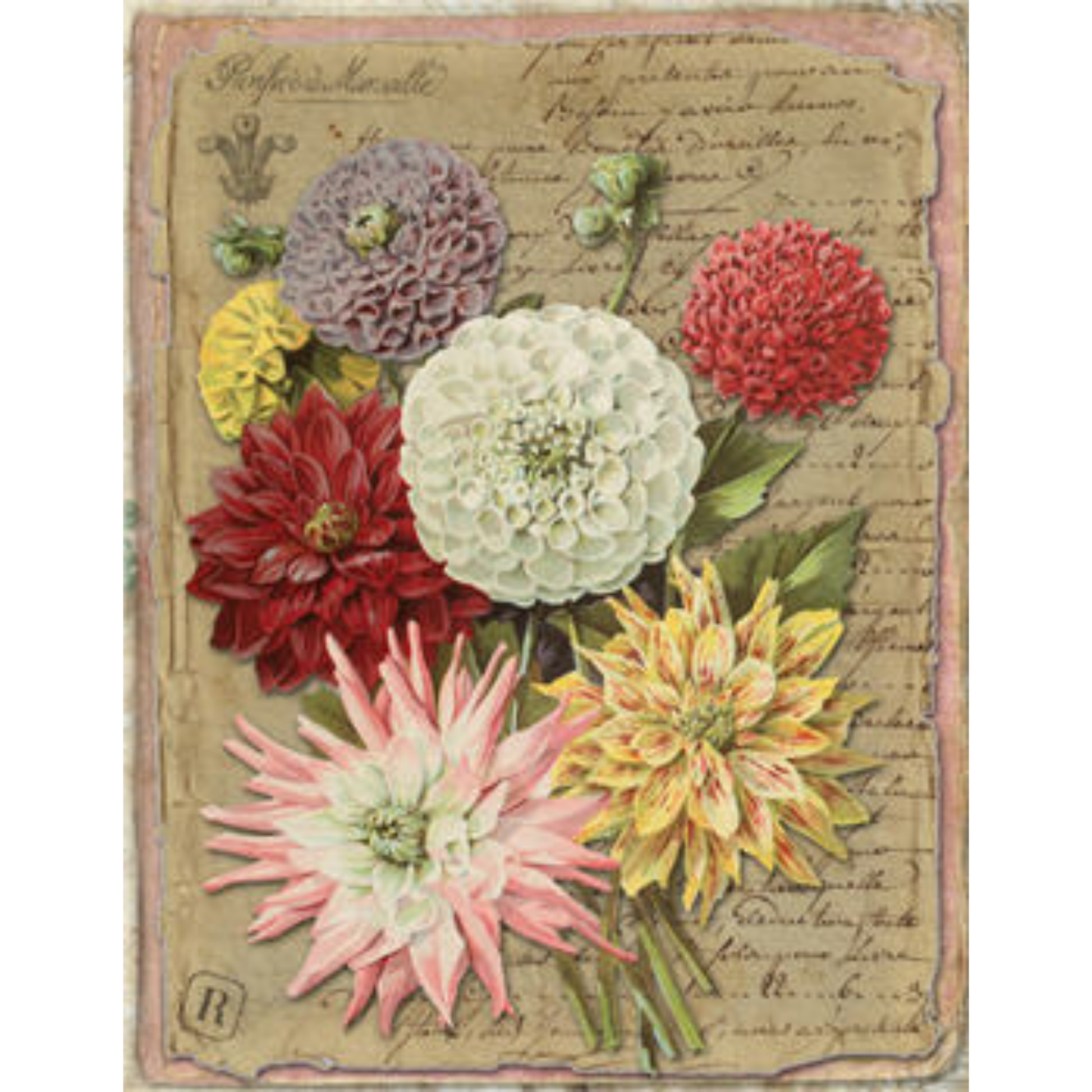 "Botanical 146" decoupage paper by Monahan Papers. Size 11" x 17" available at Milton's Daughter.