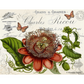 "Botanical 75" decoupage paper by Monahan Papers. 11" x 17" available at Milton's Daughter.